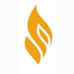 Flue Liner Plate Assembly