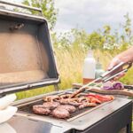 Dragonfly-Hestia-Heat-Grill-50-open.jpg