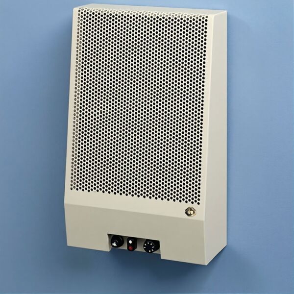 DRU-Art-2-Balanced-Flue-Wall-Heater.jpg